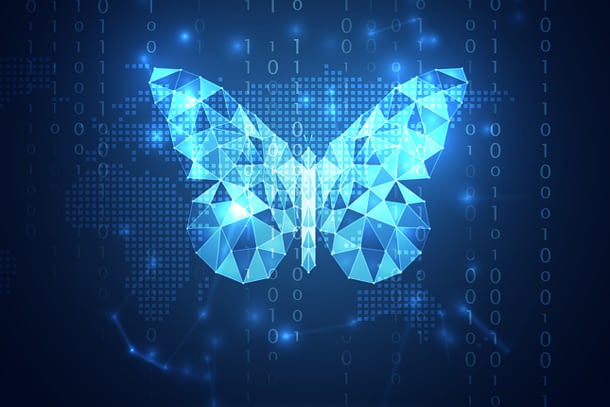 Digital Transformation Butterfly